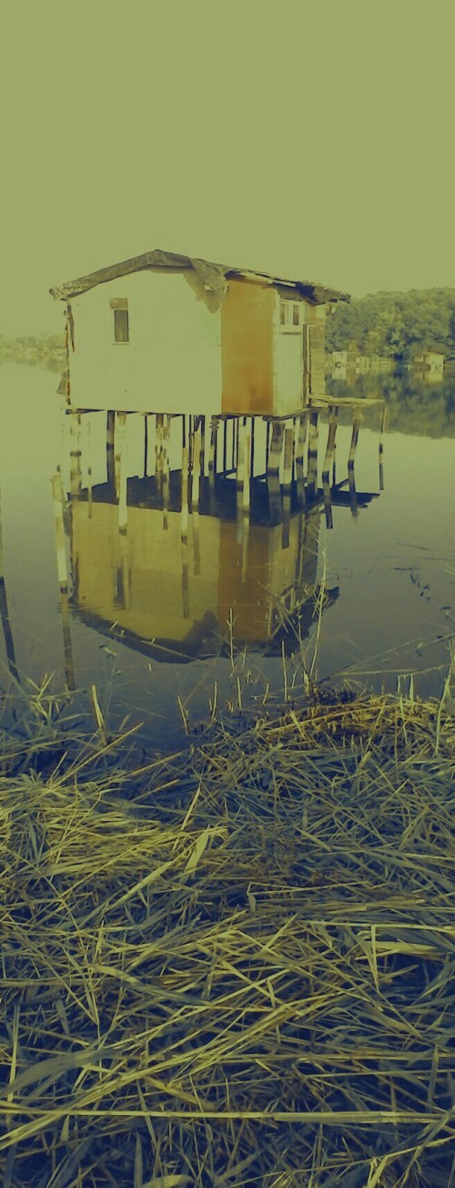 P_20180905_082132_PN_1_1_2