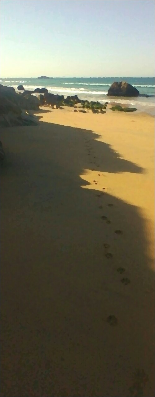 P_20180927_104329_PN_1_5_1_1