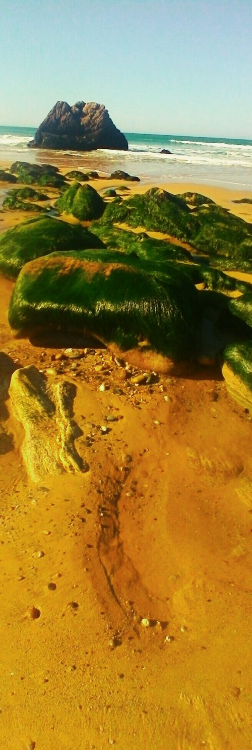 P_20180927_105356_PN_3_1_1_1