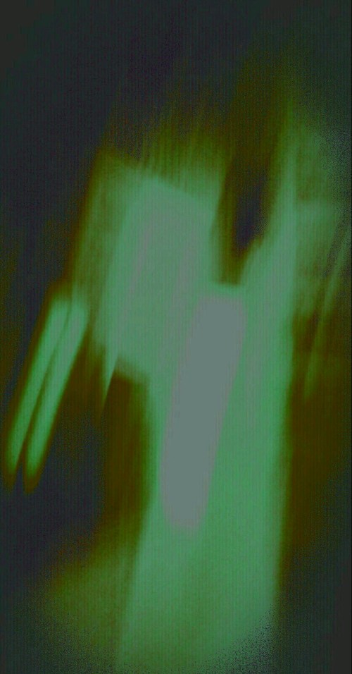 P_20190205_185222_001_2_1_1_1_2_1_1_1_1_1_1_1