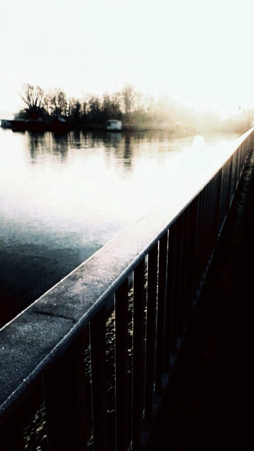 P_20190206_083617_EFF_2_1