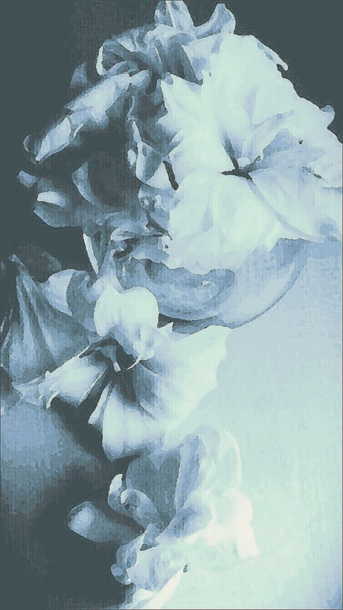 P_20190212_090318_EFF_2_1_1_1_2_2_1_1_2_1_1_2