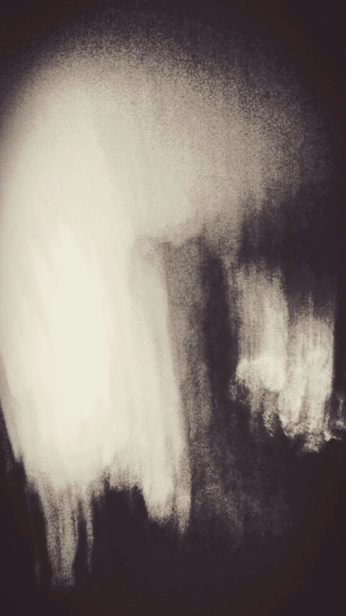 P_20190222_203242_003_1_1_1