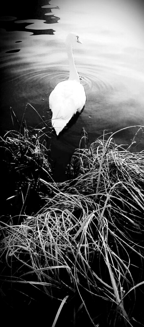 P_20190225_081229_EFF_1_2_2_2