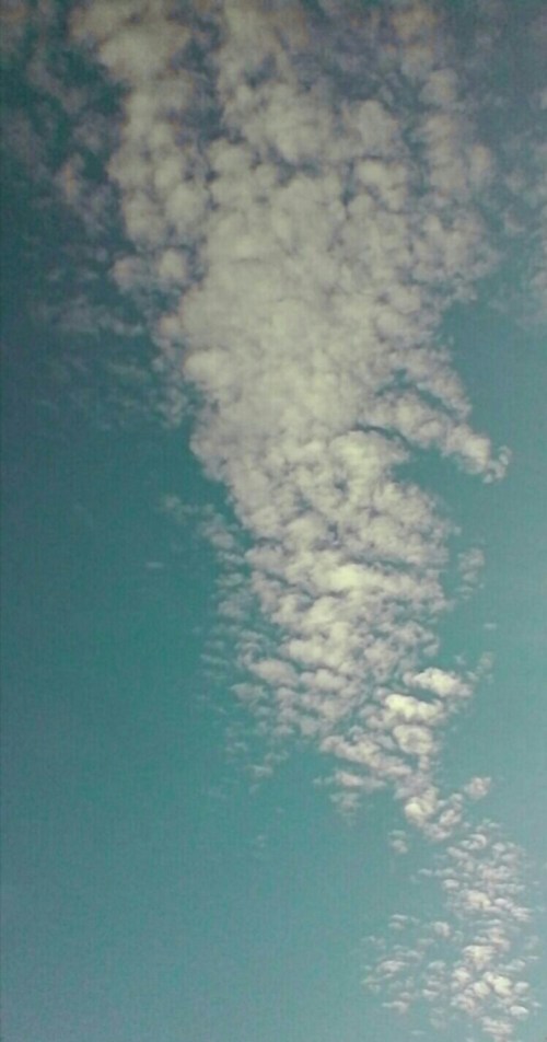 P_20190526_182307_EFF_1_1