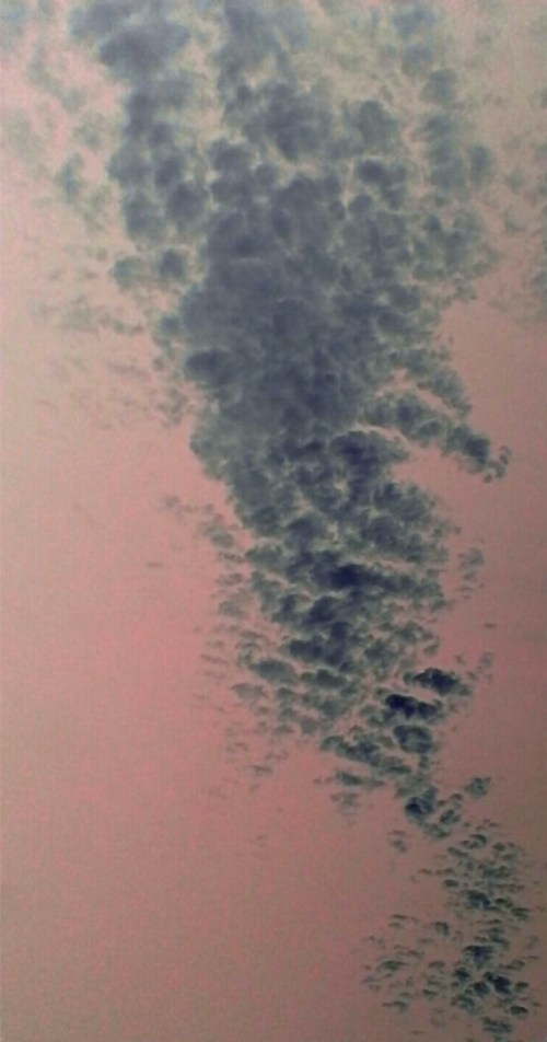 P_20190526_182307_EFF_1_1_1