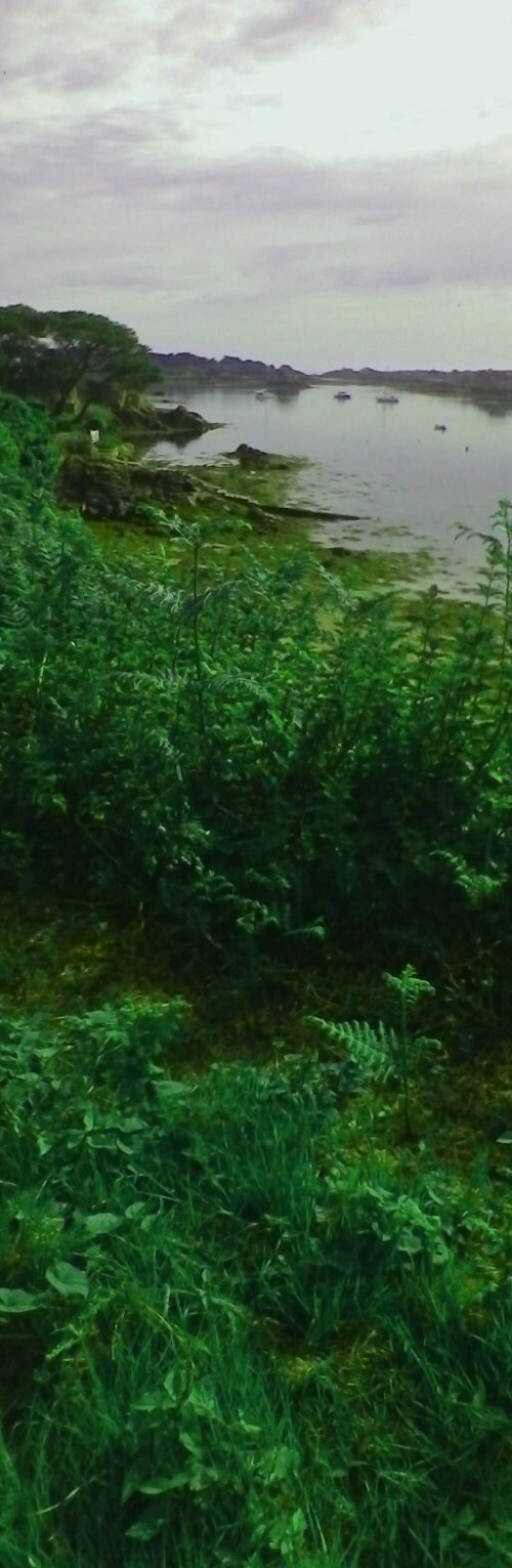 P_20190602_094953_PN_1_1