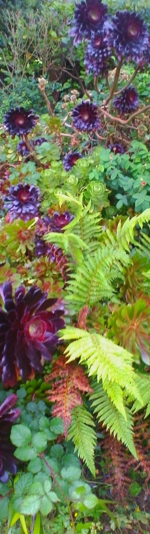 P_20190603_180759_PN_3