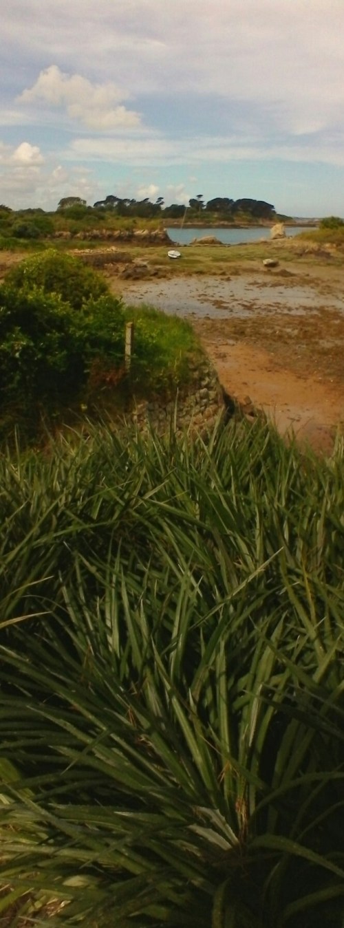 P_20190605_111810_PN_2_1