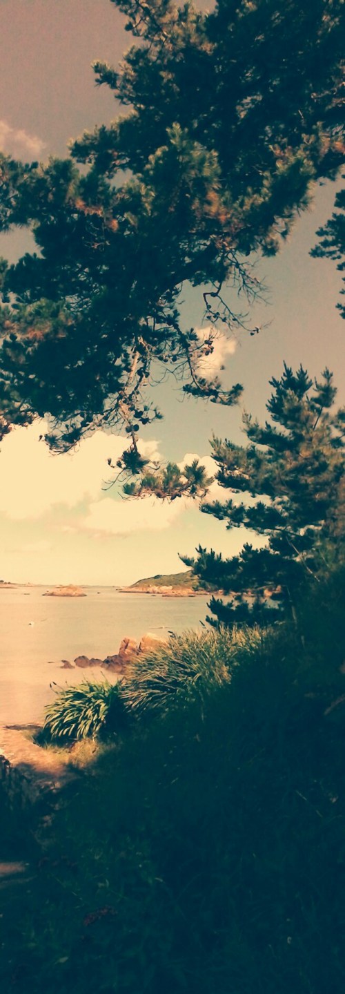 P_20190606_110931_PN_1_2