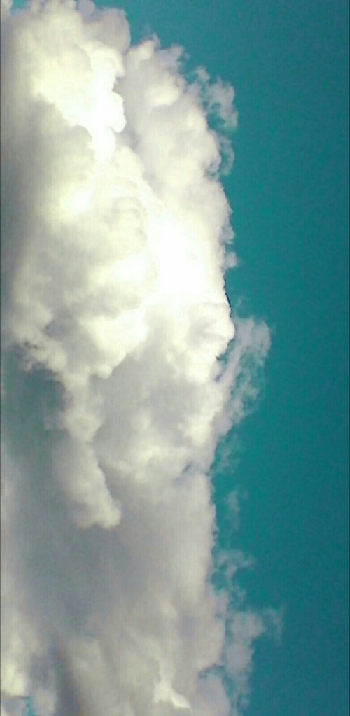 P_20190616_182001_EFF_2_1