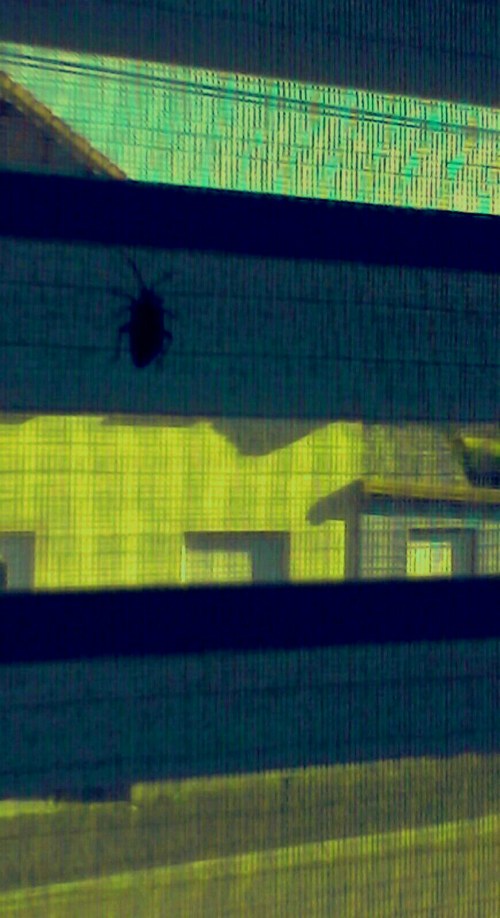 P_20190710_084125_EFF_1_1_3_2_1_1