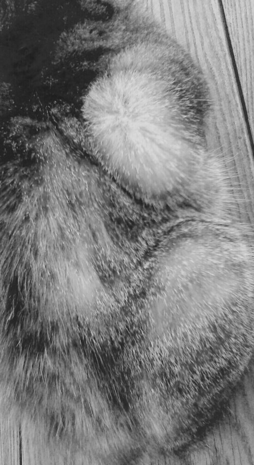 P_20190802_204218_EFF_1_1