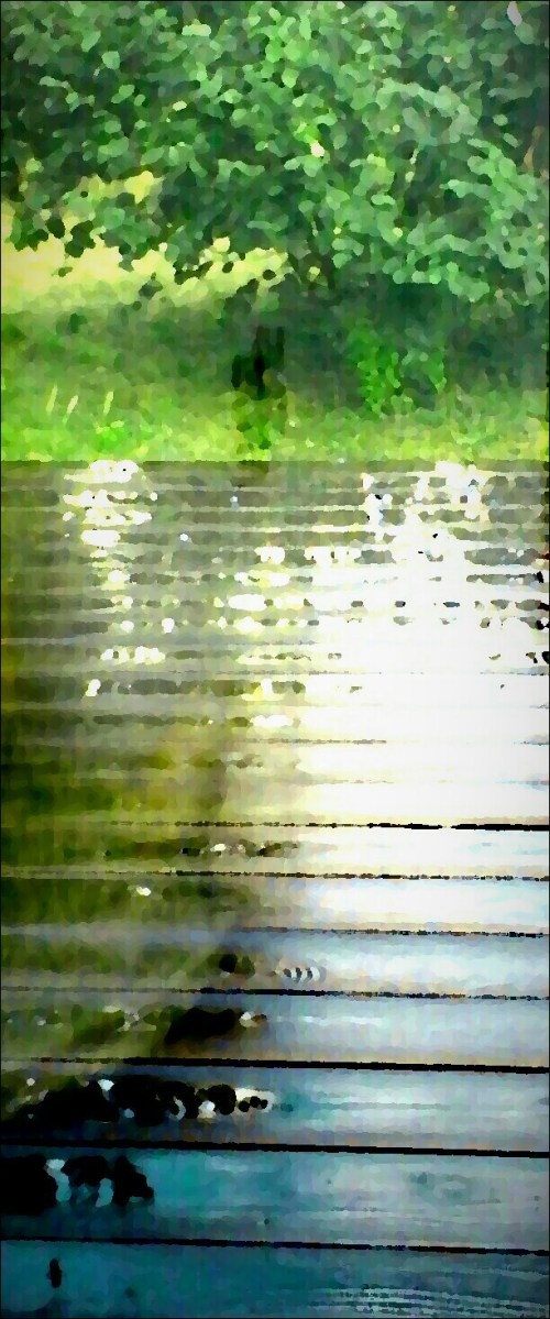 P_20190806_193100_EFF_1_1_1_1_2_3_2