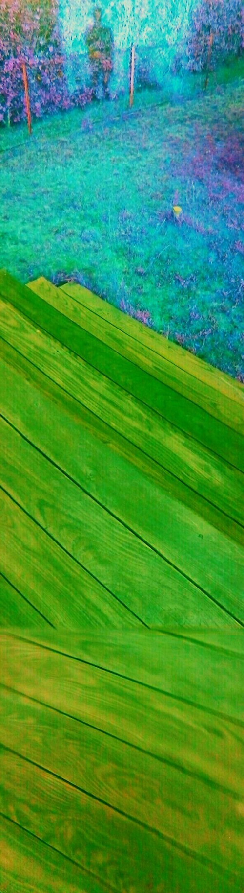 P_20190808_202836_PN_1_1_1_1_1_1