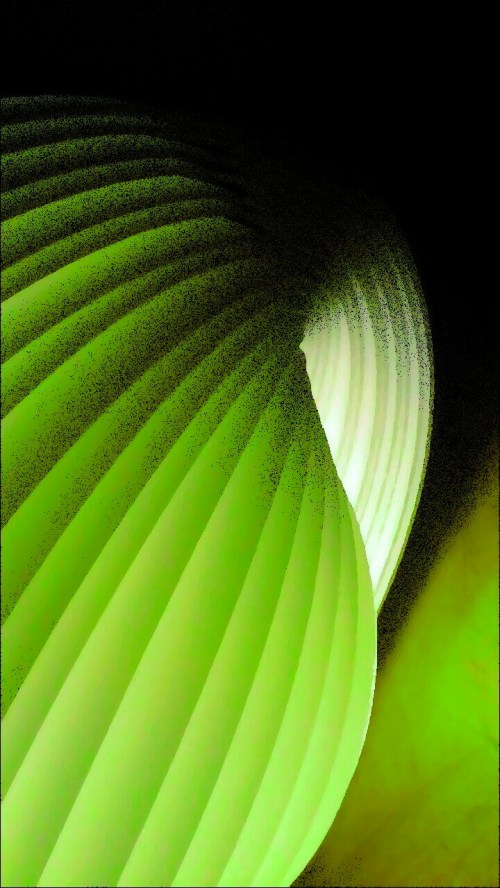 P_20200121_193821_MT_1_1_1_1