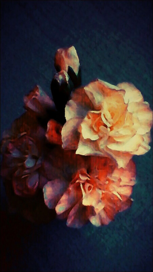 P_20200326_100812_EFF_1_1_1_2_2_1_1_1_1_1_2_1_1_1_1